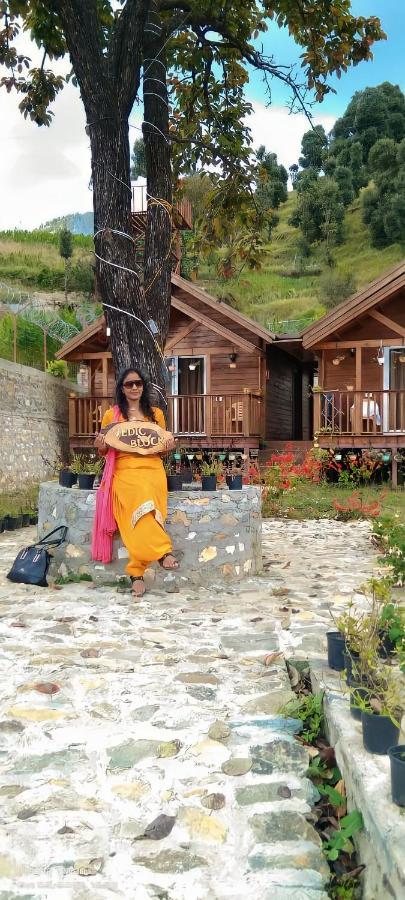 Vanprastha Resorts Dwarahat Экстерьер фото