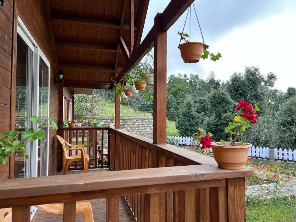 Vanprastha Resorts Dwarahat Экстерьер фото